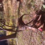 #30 38" x 49" 110lbs      


$14,400.00