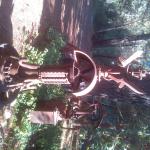 #10  24" x 56"   200lbs.     

$5,400.00