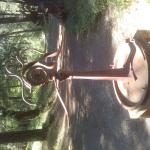 #44    21"  x  26"   80lbs.      

$ 2.300.00 