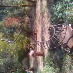 # 16    21" x 51"    50lbs.    


$ 2,500.00 